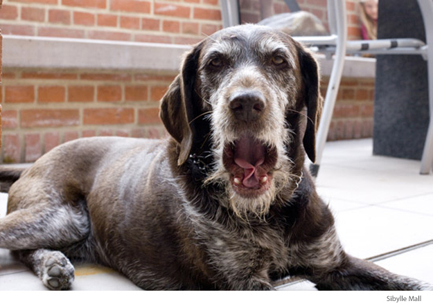 Architekturbüro Julia Wübben in Meppen